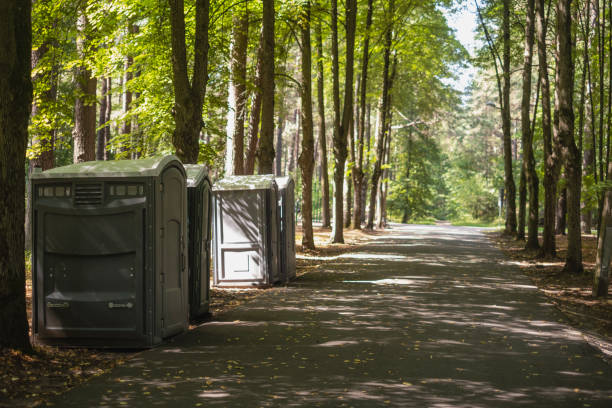 Porta potty rental for festivals in Swanton, OH